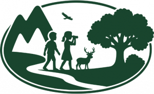 logo monteverde verde